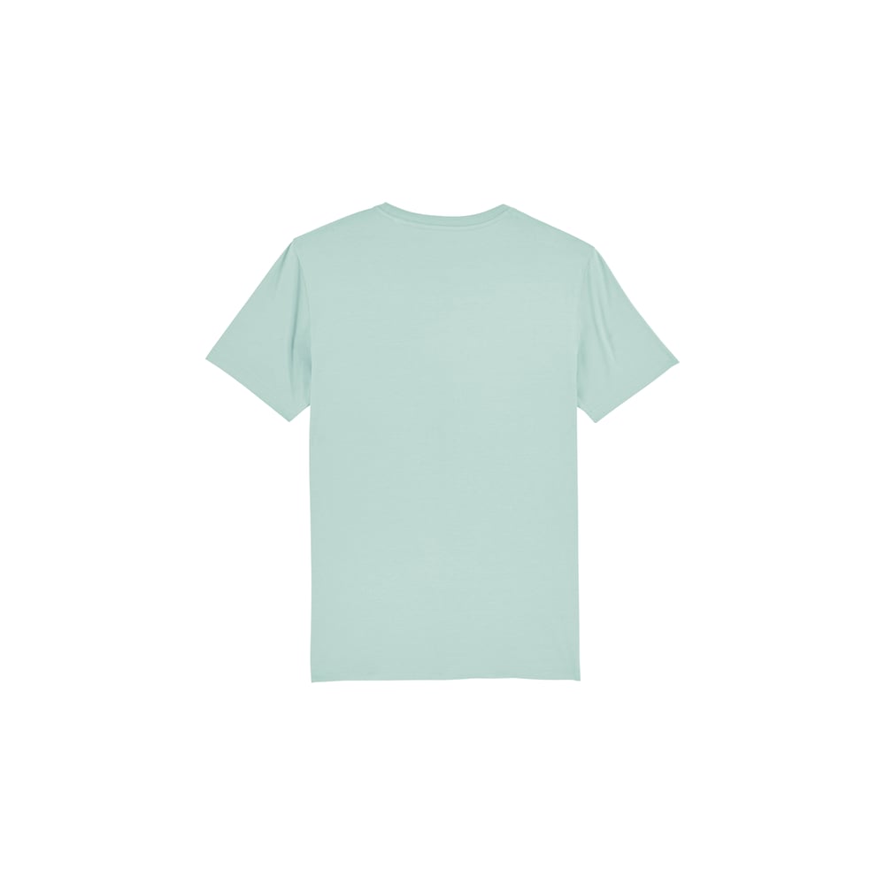 Curve mint