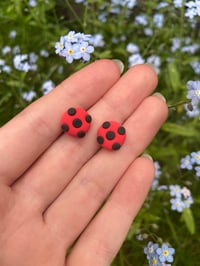 Image 1 of Ladybug’s earrings