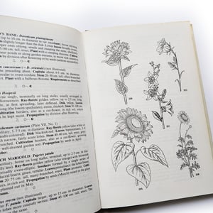 The Illustrated Guide to Garden Flowers - H.R. Wehrhahn