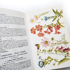 The Illustrated Guide to Garden Flowers - H.R. Wehrhahn