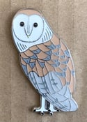 Barn Owl - #1 - Norfolk Wildlife Pins - SB Photography 