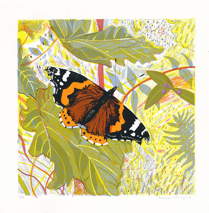Image of Red Admiral screen print