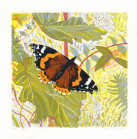 Red Admiral screen print