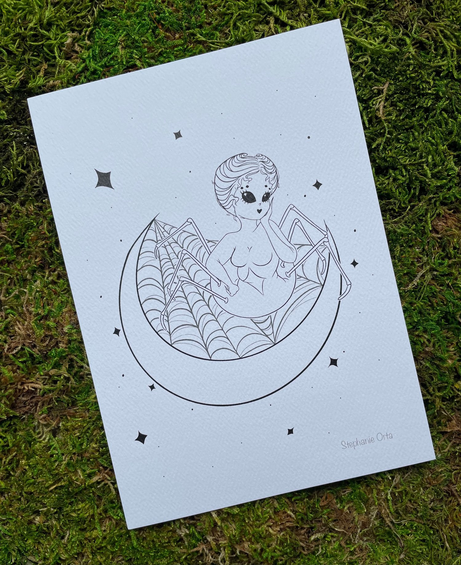 DISCONTINUED: Moon Spider 5x7 Print 
