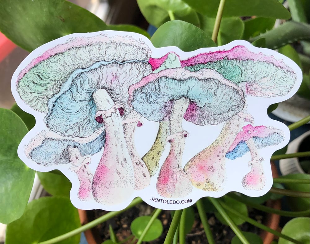 Image of Mushroom Sticker