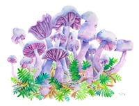 Image 1 of Purple Mushrooms