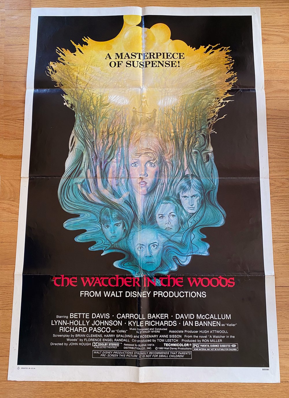 1980 THE WATCHER IN THE WOODS Original U.S. One Sheet Movie Poster
