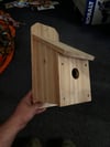 Cedar bluebird house 