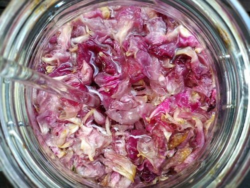 Image of ROSE spagyric tincture - alchemically enhanced plant extraction