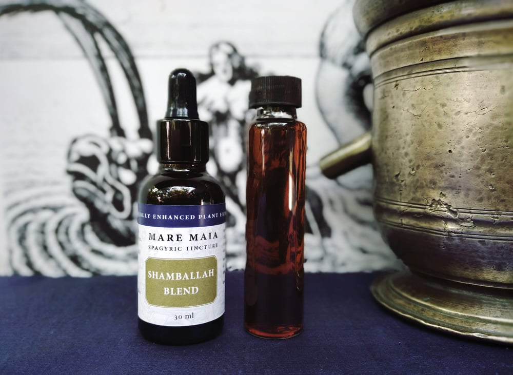 Image of SHAMBALLAH BLEND spagyric tincture - alchemically enhanced plant extraction