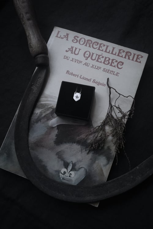 Image of FLEUR DE LYS EMBLEM. METAL NOIR QUEBECOIS, SHIELD AMULET ↟ sustainable sterling silver
