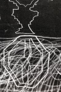 Image 2 of Matthias Pichl "Flowers"