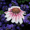 echinacea flower sticker