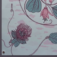 Image 3 of  Passionflower: Plants for Unwinding