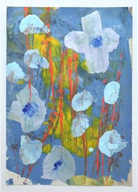 FLeurs blanches