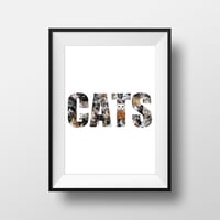 CATS Print