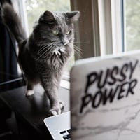 Image 3 of Pussy Power Sticker (3 designs)