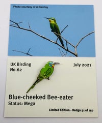 Image 1 of Blue-cheeked Bee-eater - July 2021 - UK Birding - Enamel Pin Badge