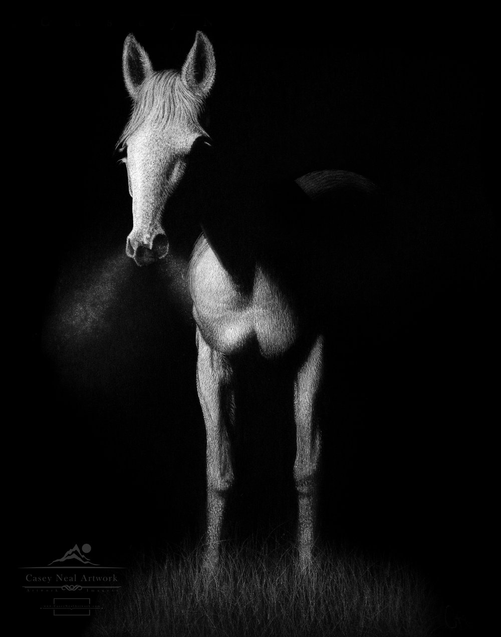 Image of The Stallion