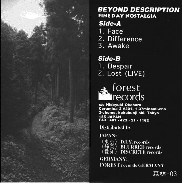 Beyond Description - Fine Day Nos