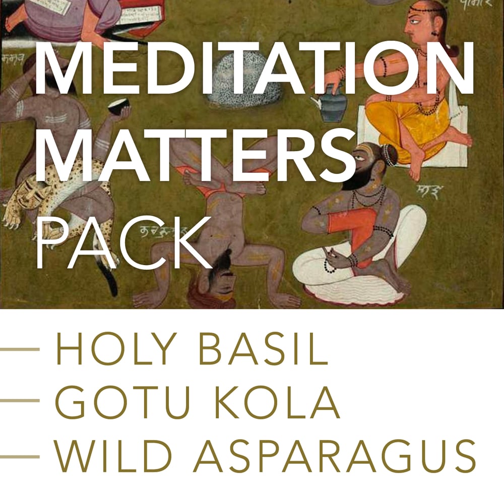 Image of MEDITATION MATTERS Pack: Holy Basil, Gotu Kola and Wild Asparagus Root
