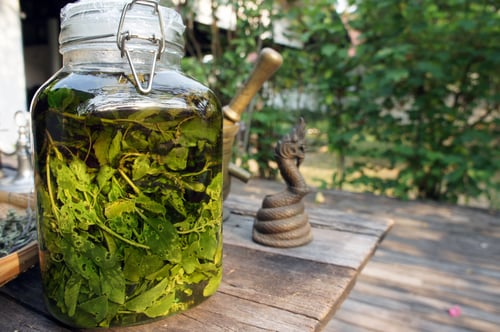 Image of MEDITATION MATTERS Pack: Holy Basil, Gotu Kola and Wild Asparagus Root