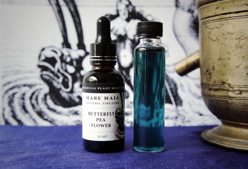 Image of FLOWER POWER PACK: Butterfly Pea Flower, Chrysanthemum and Rose