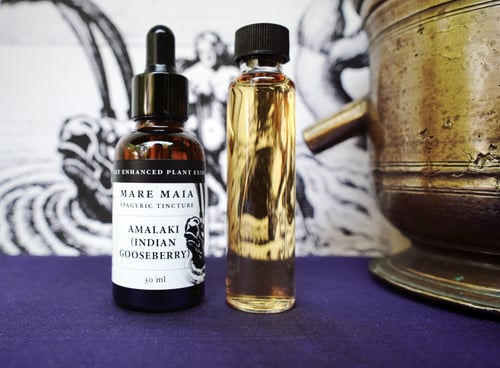 Image of IMMUNE ESSENTIALS PACK: Amalaki, Astragalus and Chrysanthemum