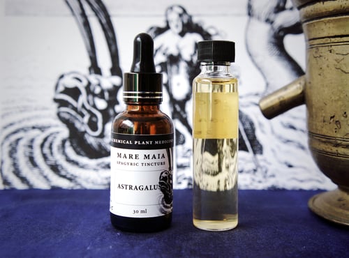 Image of IMMUNE ESSENTIALS PACK: Amalaki, Astragalus and Chrysanthemum