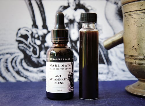 Image of BACK to the GYM Pack: Anti-Inflammatory Blend, Krachai Dam and Tongkat Ali