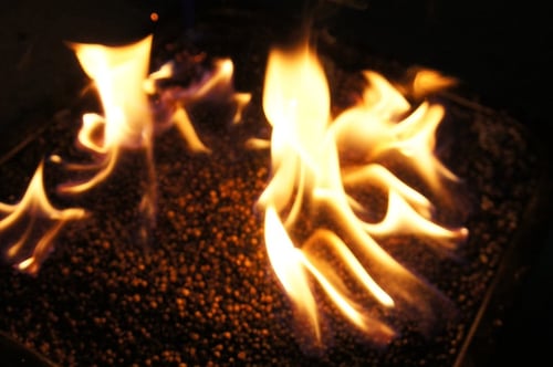 Image of CORIANDER-CILANTRO spagyric tincture - alchemically enhanced plant extraction