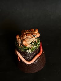 Image 4 of Toad Dome