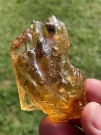 Image 2 of Amber Specimen #1944