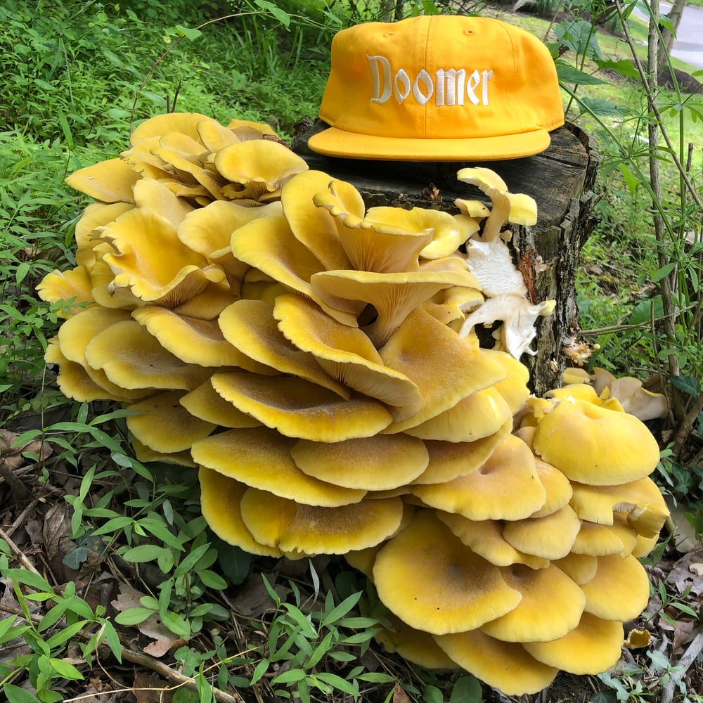 DOOMER CAP W/ ADJUSTABLE BUCKLE CLOSURE (GOLDENROD)