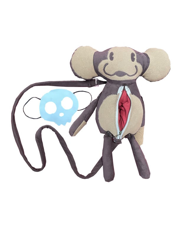 Image of FRANKI STASH BAG