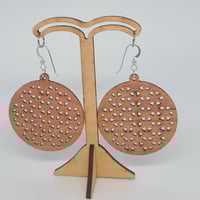 Image 2 of Mesh Earrings