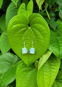 Image 1 of Moonstone earrings 
