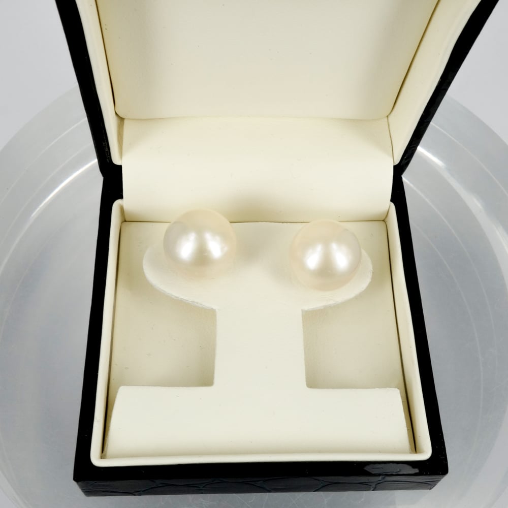 Image of High quality freshwater pearl large stud earrings. CP1126