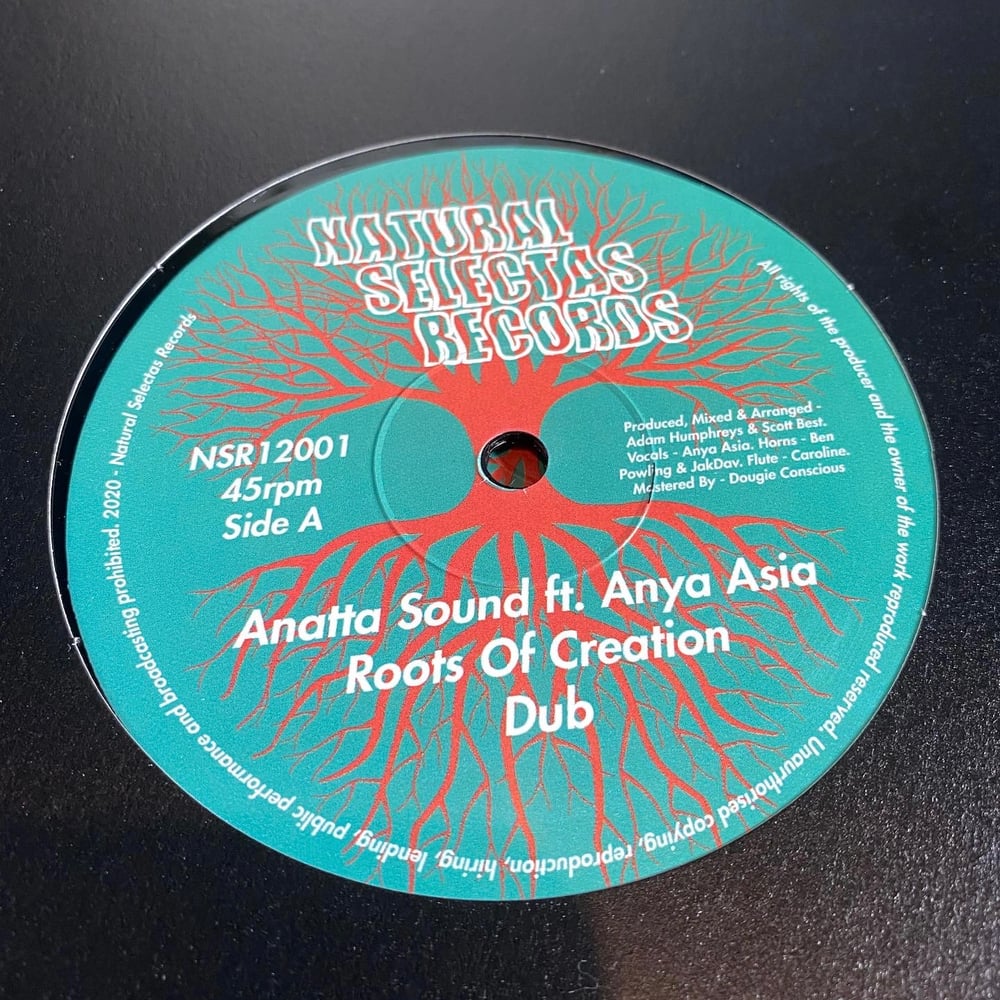 Image of Anatta Sound ft. Anya Asia - Roots Of Creation