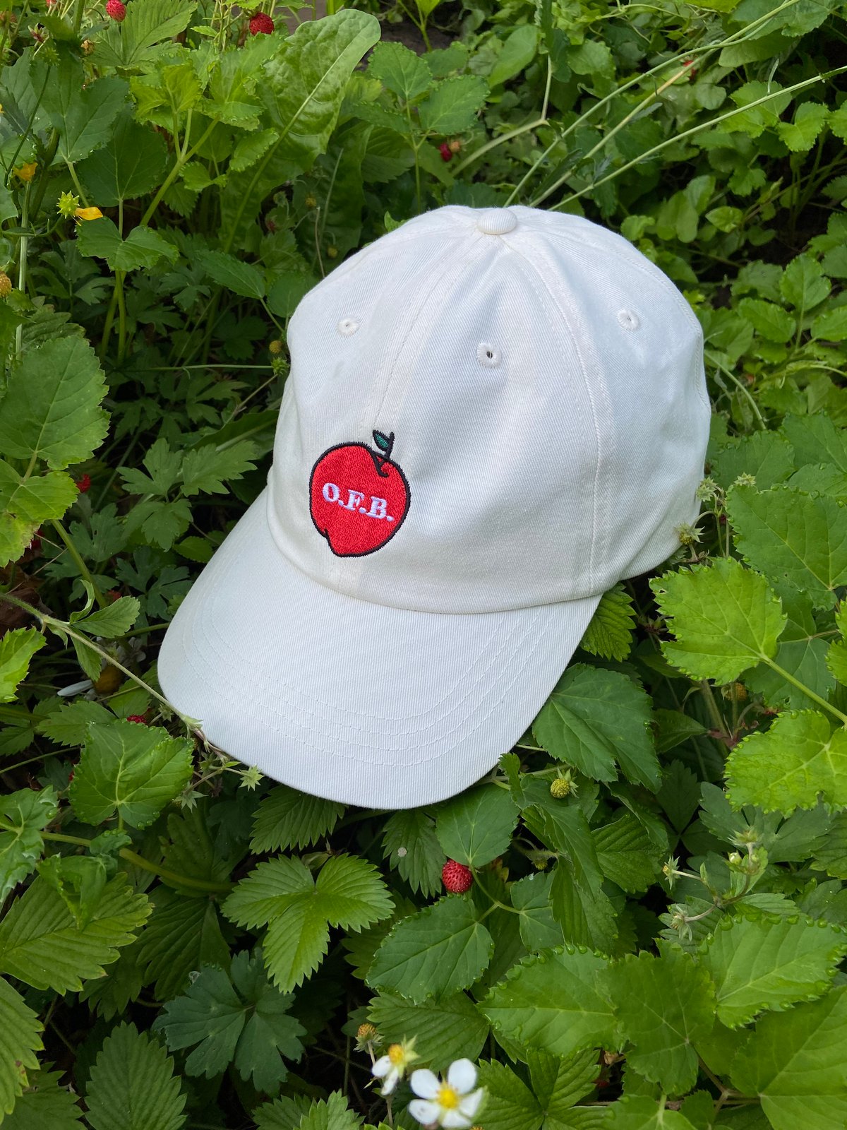 Image of Apple hat 