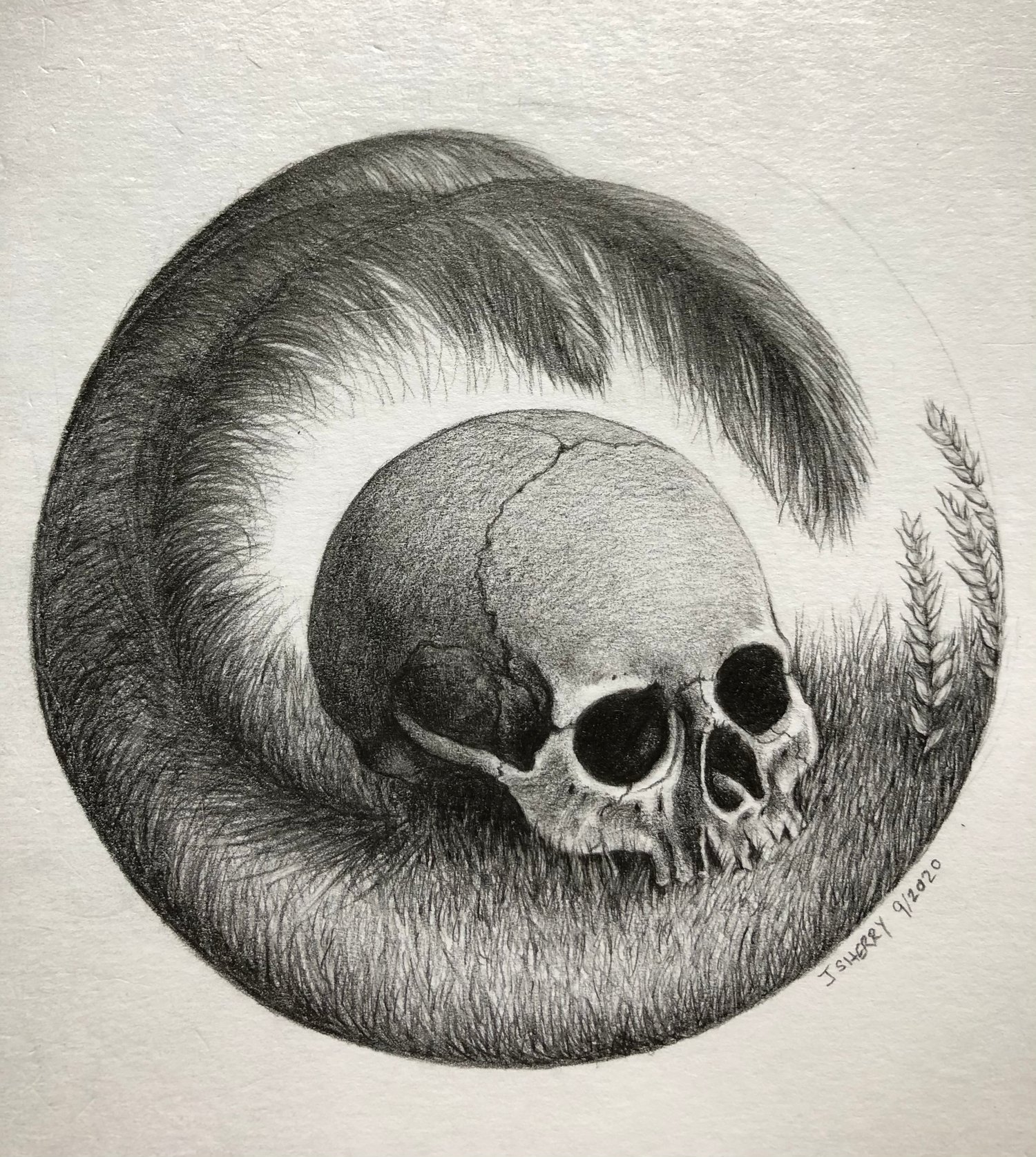 Image of Black Plumes and Skull