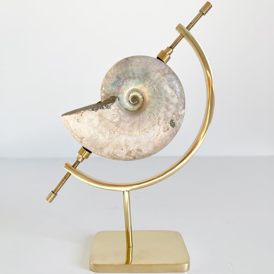 Image of Iridescent Rainbow Ammonite No.53 + Brass Arc Stand