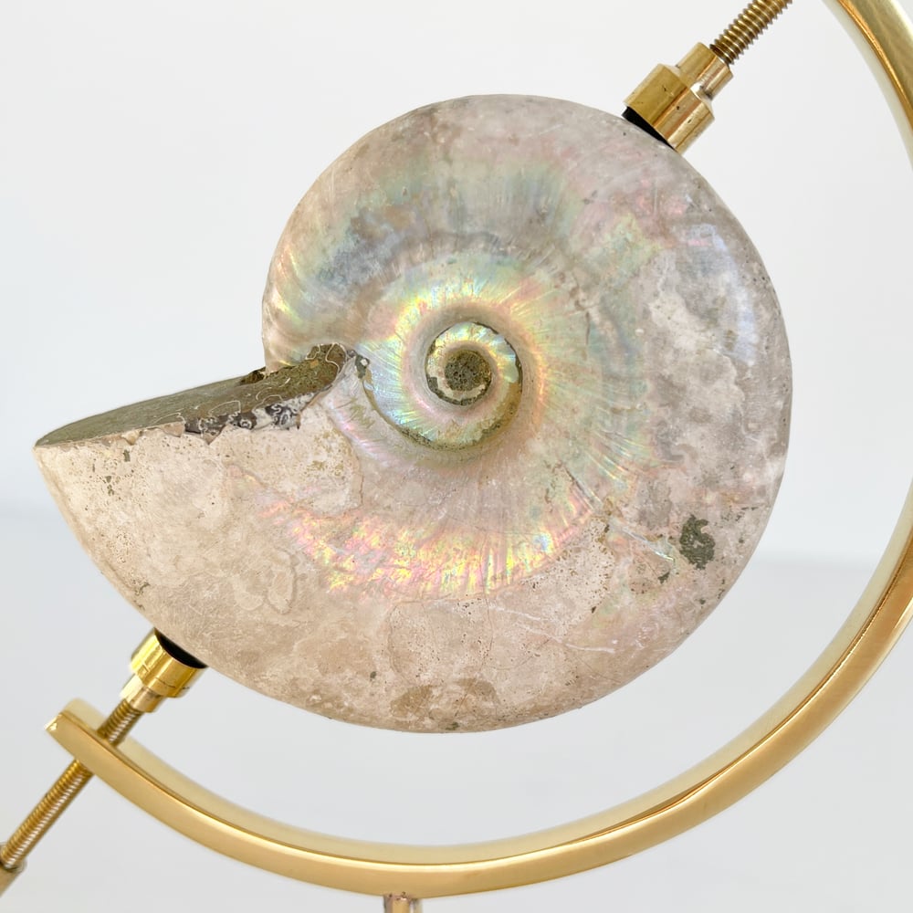 Image of Iridescent Rainbow Ammonite No.53 + Brass Arc Stand