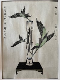 Ikebana 4