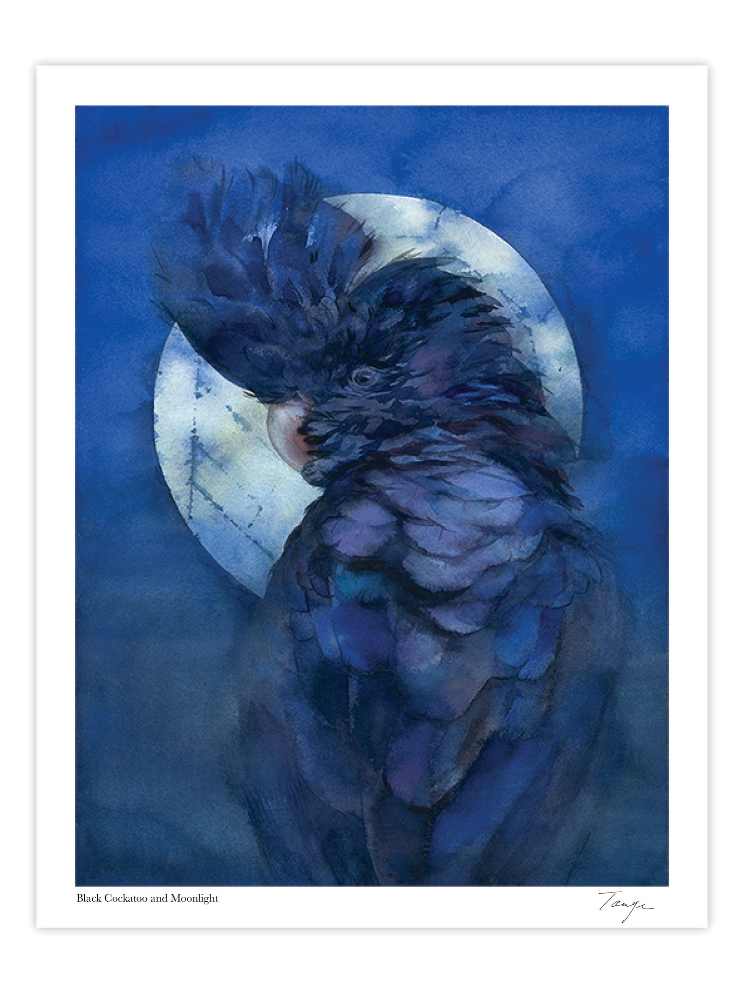 Black Cockatoo & Moonlight Art Print