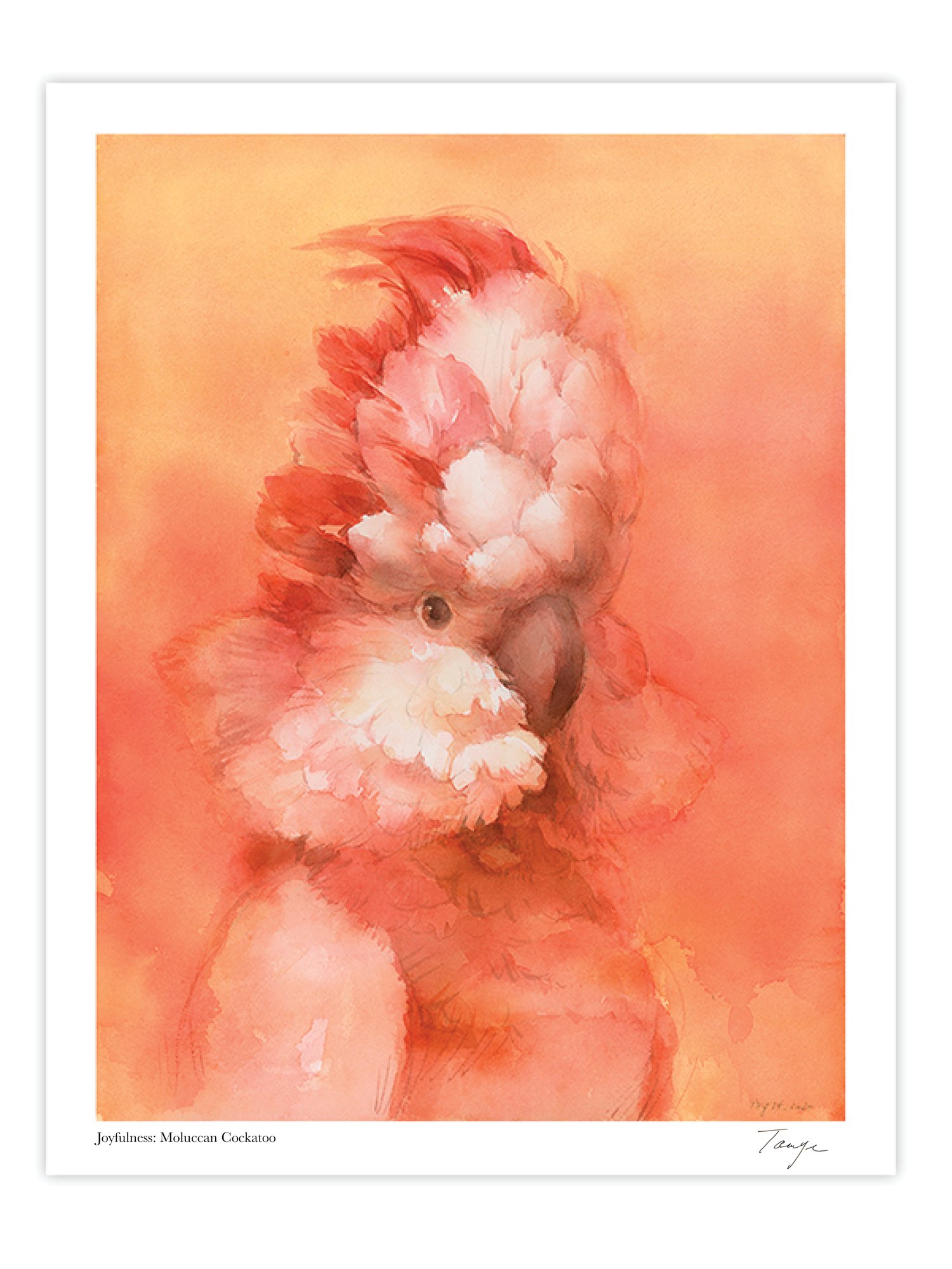 "Joyfulness: Moluccan Cockatoo" Art Print