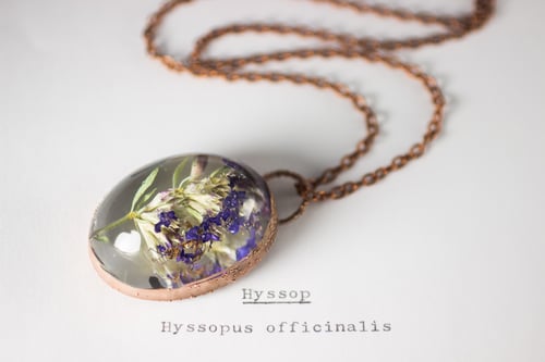 Image of Hyssop (Hyssopus officinalis) - Copper Plated Necklace #1