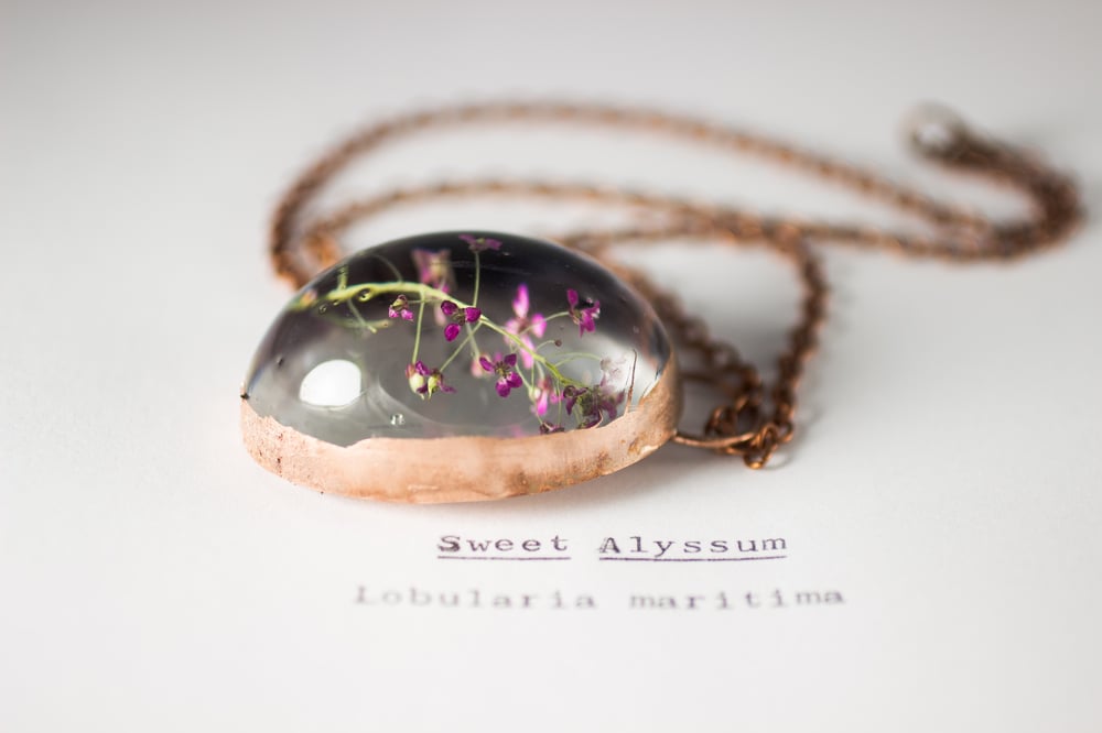 Image of Sweet Alyssum (Lobularia maritima) - Copper Plated Necklace #3