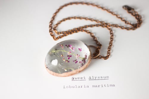Image of Sweet Alyssum (Lobularia maritima) - Copper Plated Necklace #3