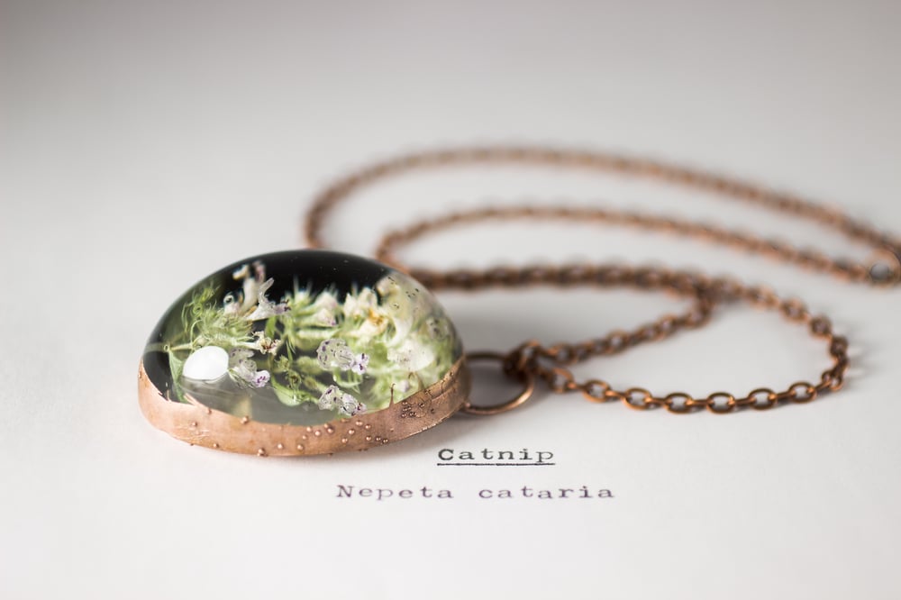 Image of Catnip (Nepeta cataria) - Copper Plated Necklace #1